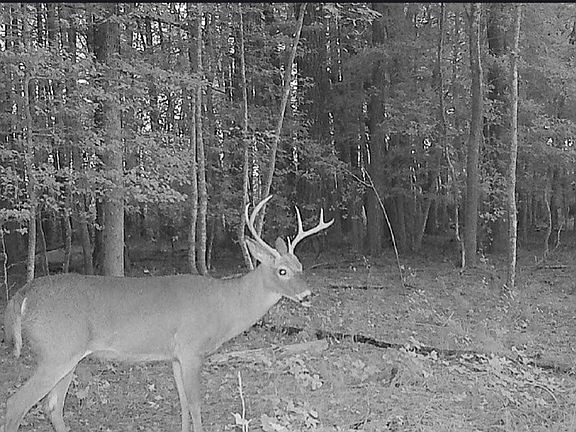 4th image of 11.770 Daugherty Rd