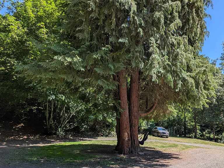 NW Ivy Dr — Photo 8