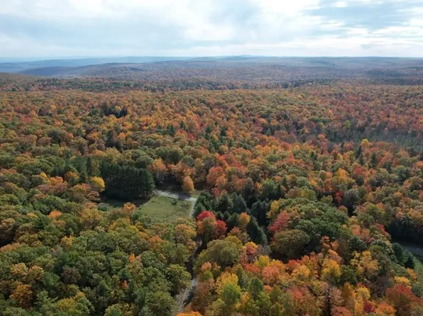 Mount Vernon Road, Wurtsboro, NY 12790