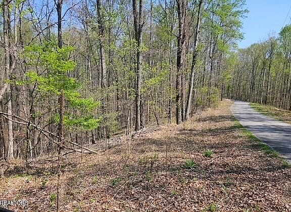 3rd image of Benton Tidwell Rd