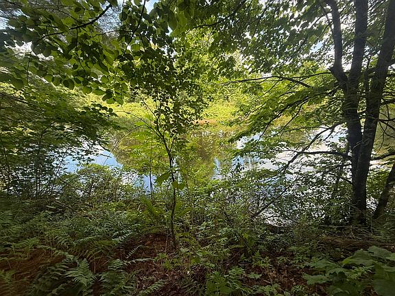 4th image of 36 Hall Rd