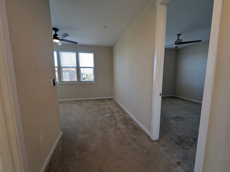 181 Damasco Ln — Photo 19