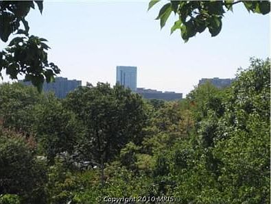 5th image of 4501 Arlington Blvd APT 613