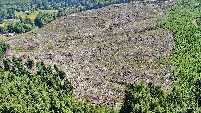 4th image of 0 NKA Smith Creek Road