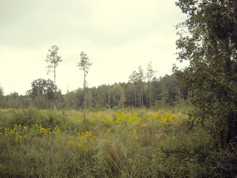 1st image of 0 Old Highway 24 E
