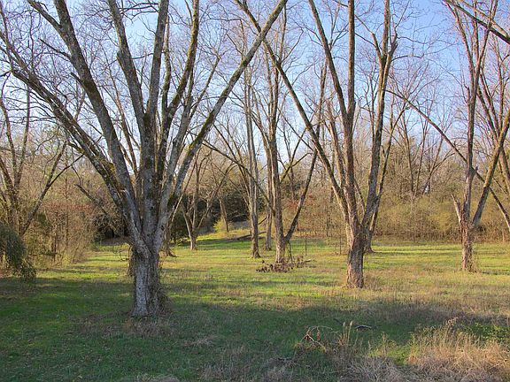 2nd image of 11925 Old Jackson Rd