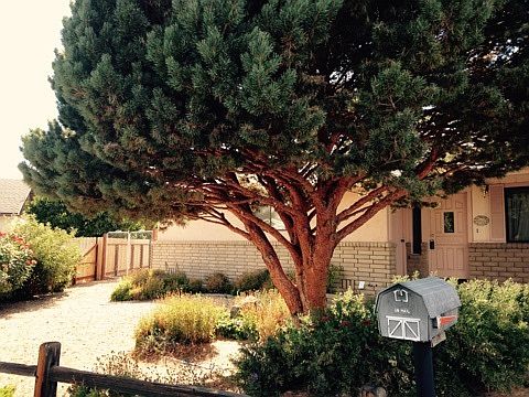 2nd image of 1636 Carval Ct