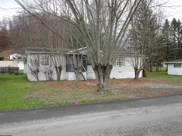 61 Viquesney Ave, Elkins, WV 26241
