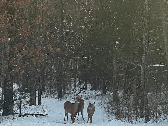 4th image of 3m/L Acres Ibex Road