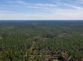 Buck Tyner Rd, Laurel Hill, FL 32567