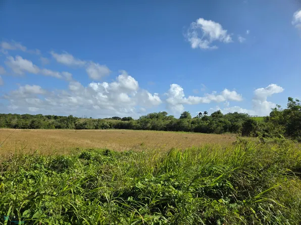 459 Km 5 #A2-2, Aguadilla, PR 00603