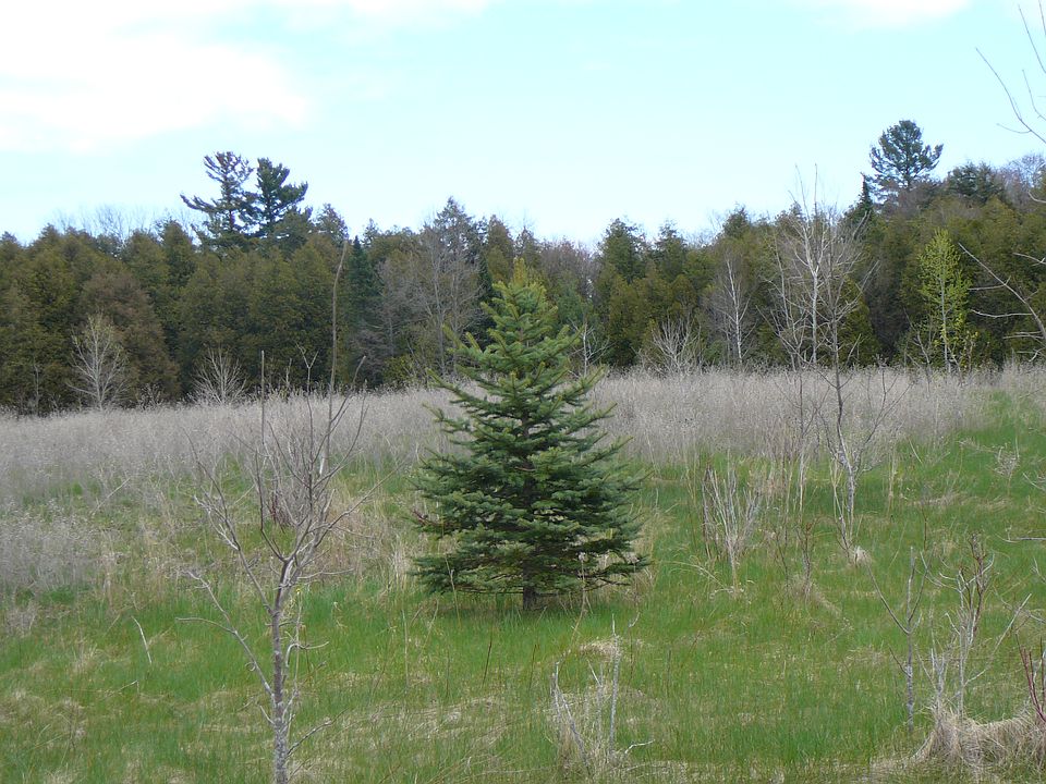2nd image of Lot 7 Cty B