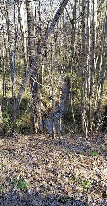 2nd image of 2749 Mandeville Rd