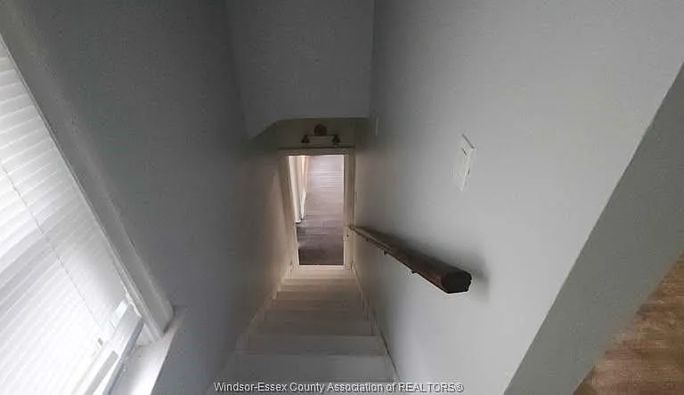 2292 Dougall Ave #UPPER — Photo 6