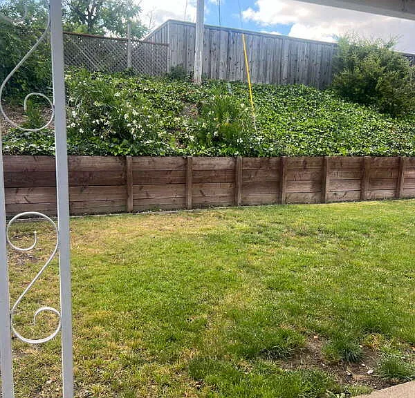 26 Driftwood Ave — Photo 16
