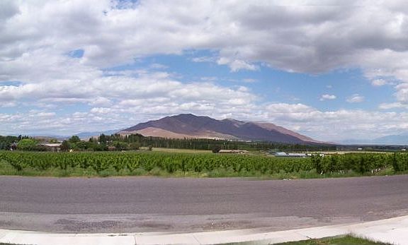 View from Front Porch