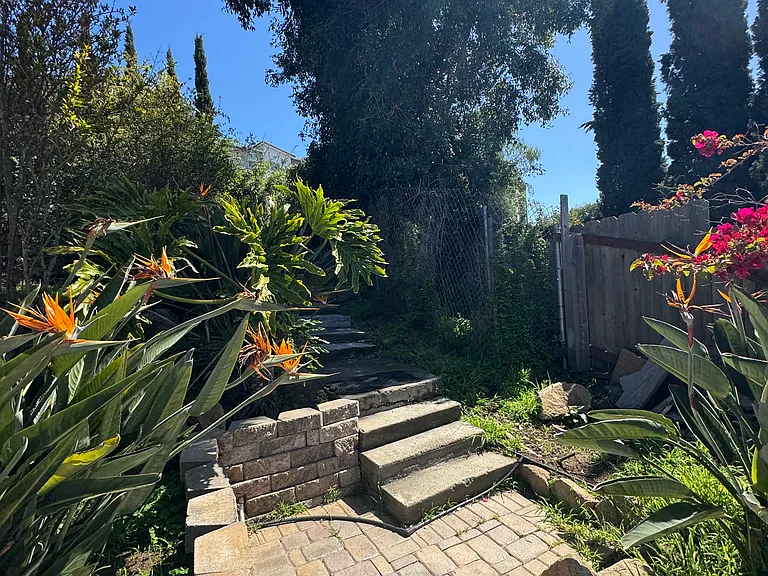 419 Marcos St — Photo 25