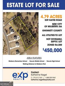 539 Hayes Rd, Auburn, GA, 30011