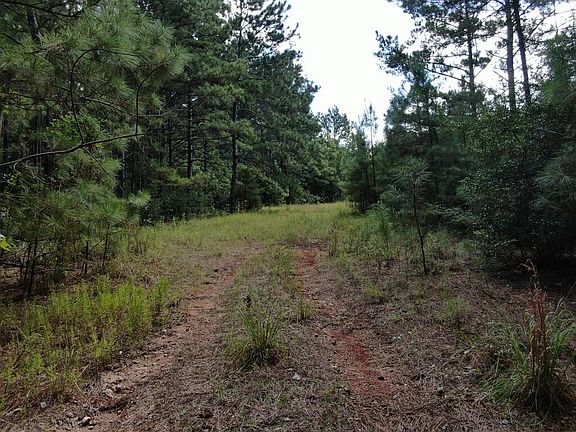 4th image of Pid 17614 Us Hwy #190-W
