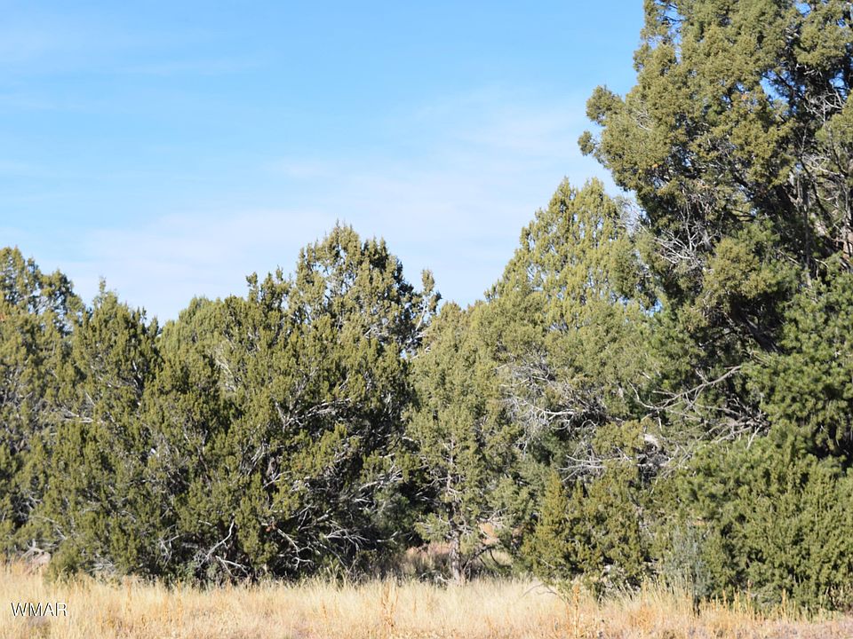 2nd image of 2145 Graphite Rd