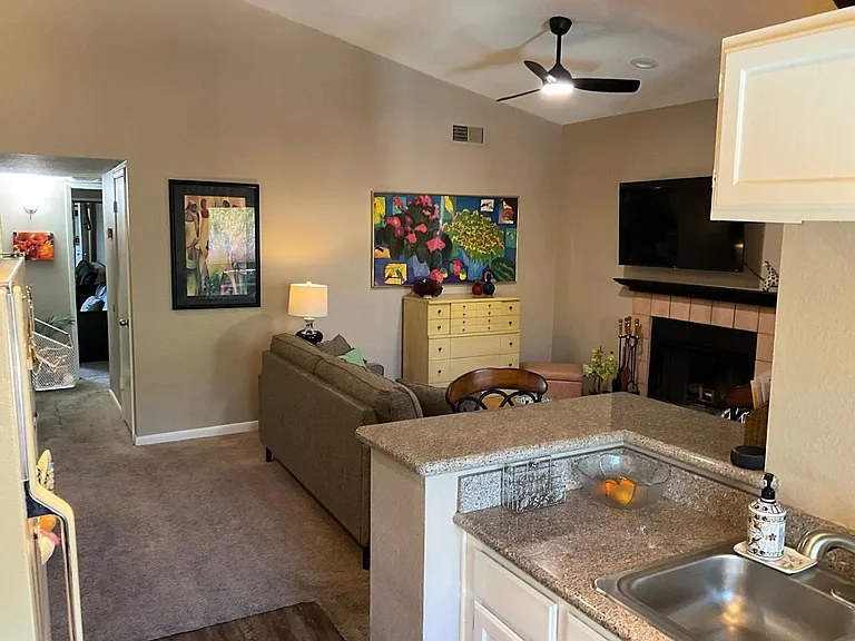 747 S Extension Rd #207 — Photo 9