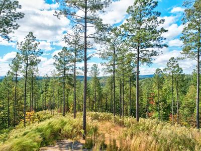 LOT 53 Royal Wulff Ave, Talking Rock, GA, 30175