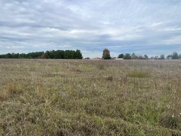 12625 Fm 16 E, Winona, TX 75792