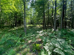 2569 E Wildwood Trl, Mikado, MI 48745