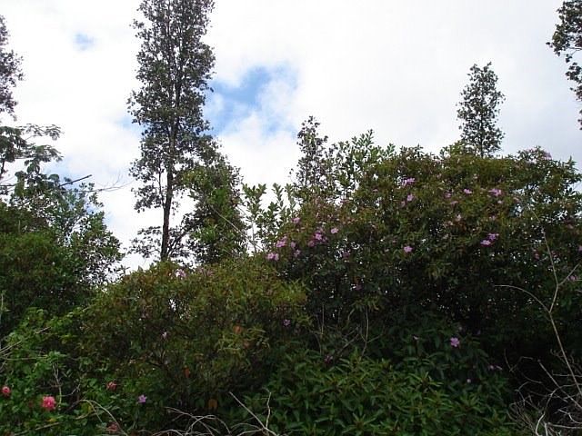 2nd image of Pearl Dr Lot 34