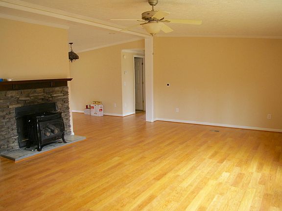 Living room with propane gas logs