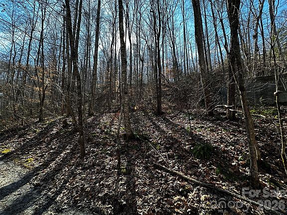 4th image of 11 Blue Mist Mountain Rd