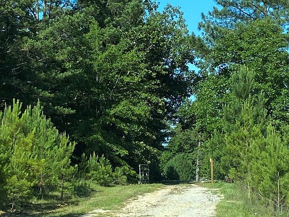 2nd image of 589 County Road 2346