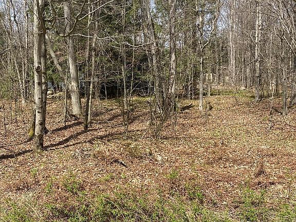 2nd image of 1413 Pine Cone Rd