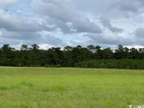 Black Branch Rd. #S-17-175, Dillon, SC 29536