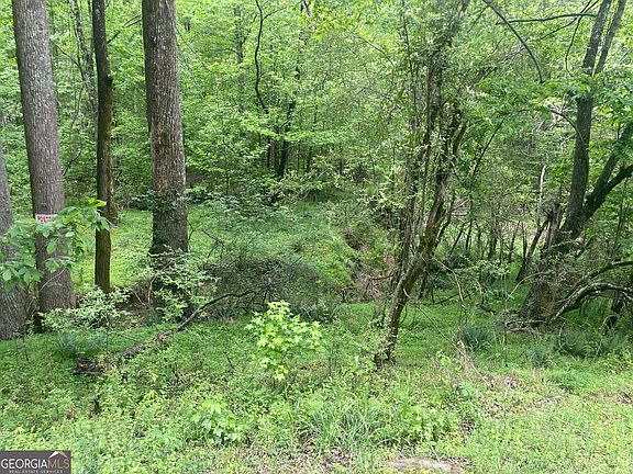 4th image of 0 Luther Palmer Rd