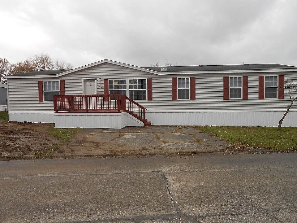 YARD IS NOW GREEN & LUSH