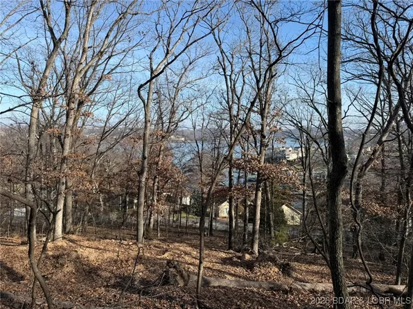 1401 Via Del Lago Dr, Sunrise Beach, MO 65079