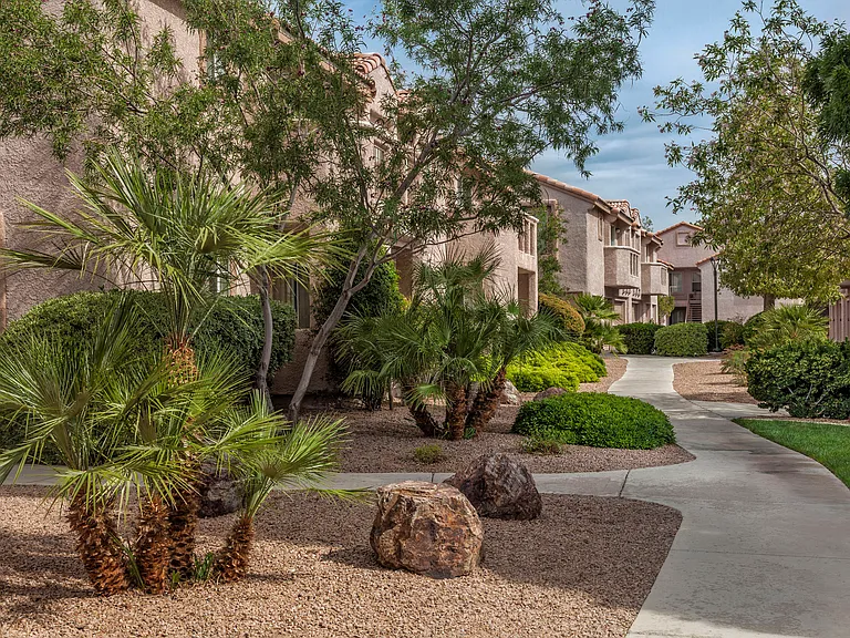 Sahara West — Photo 14