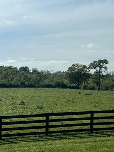 365 Reb Stacey Way, Williamstown, KY, 41097