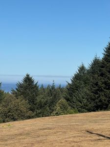 5 Spring Rd, Whitethorn, CA, 95589