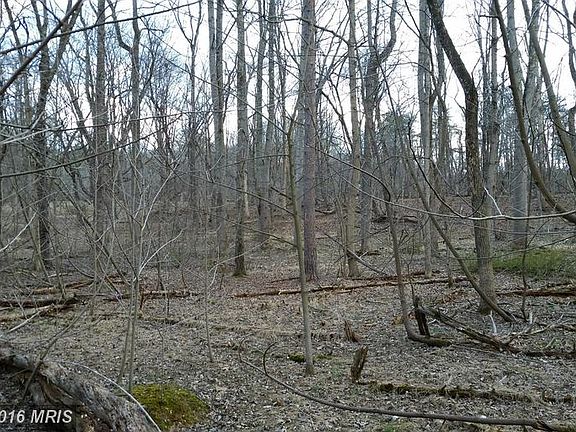 2nd image of 308 Amberwood Ln