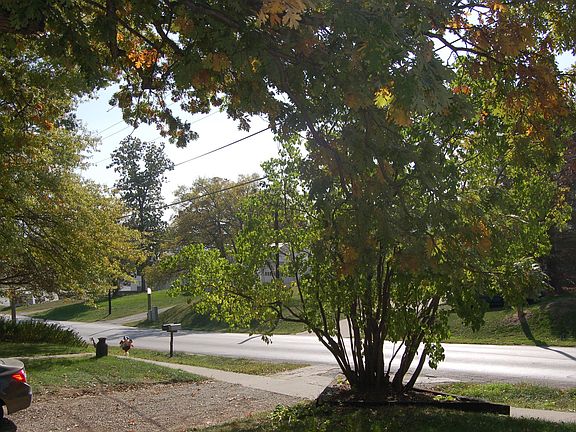 Front - From Patio 2