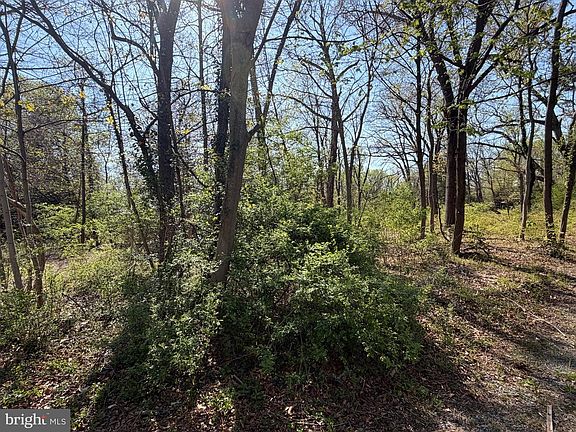4th image of 6061 Old Lawyers Hill Rd