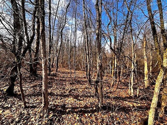 3rd image of 0 Columbus Rd