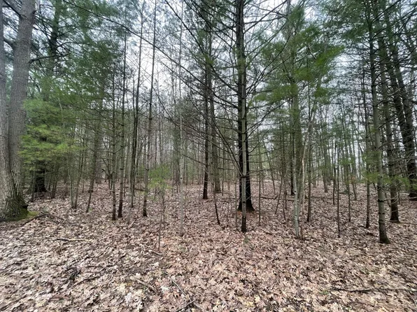 N Schoenherr Rd, Free Soil, MI 49411