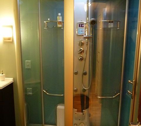 Wasauna Steam Shower