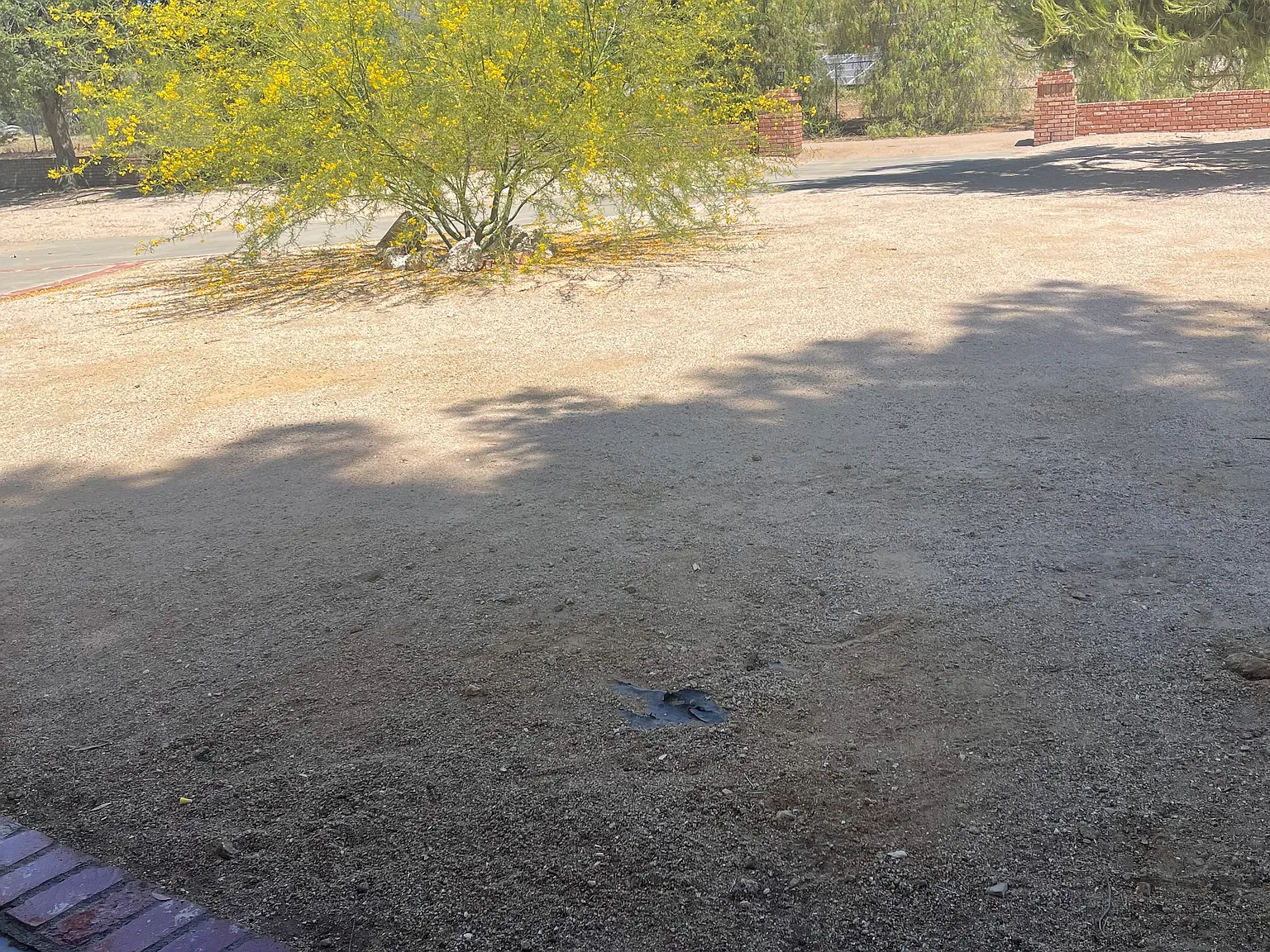 White Fox Ln, Agua Dulce — Photo 2