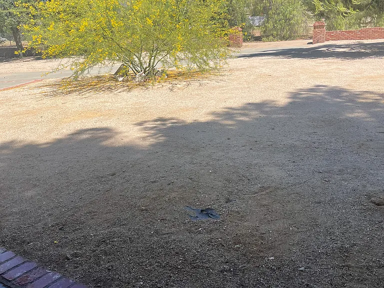 White Fox Ln — Photo 2