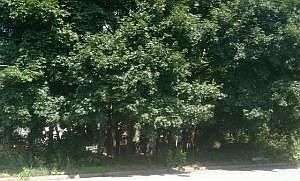 2nd image of 29-33 Dietz Ct