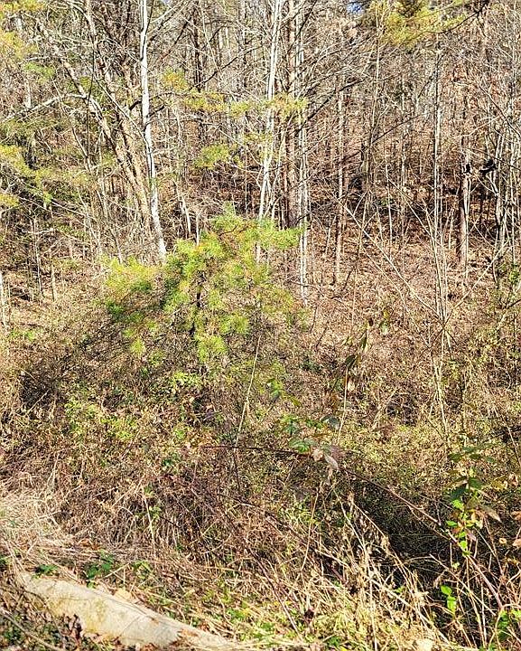1st image of 0 Wild Briar Trl